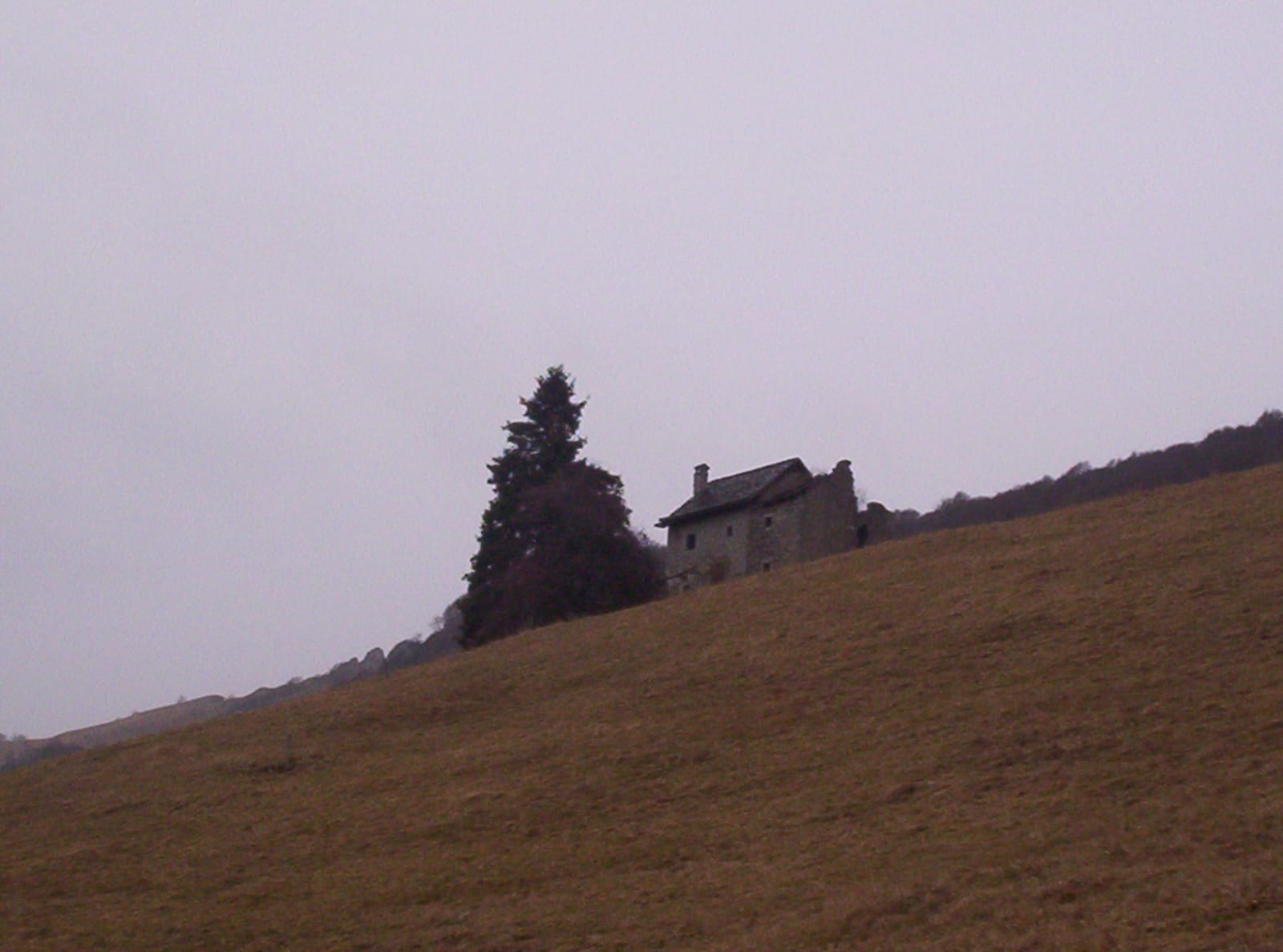 Foto n° 9 del trekking Tre Faggi │ Fuipiano